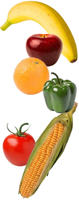 fruit veggie montage